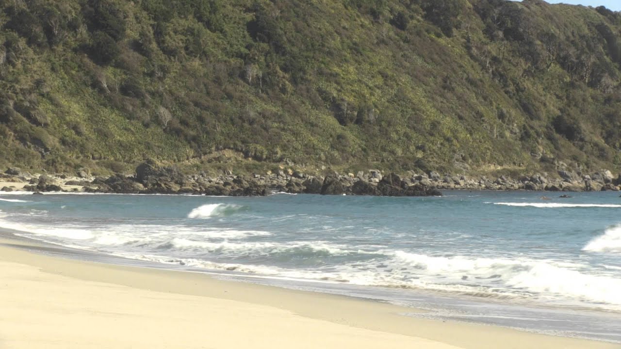 Playa Guabun