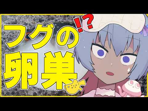【 食レポ 】フグの卵巣の糠漬けって本当に毒ないの?!!?【 注意 】 video thumb