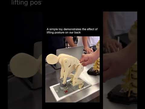 Why you NEED to lift with your legs... #science