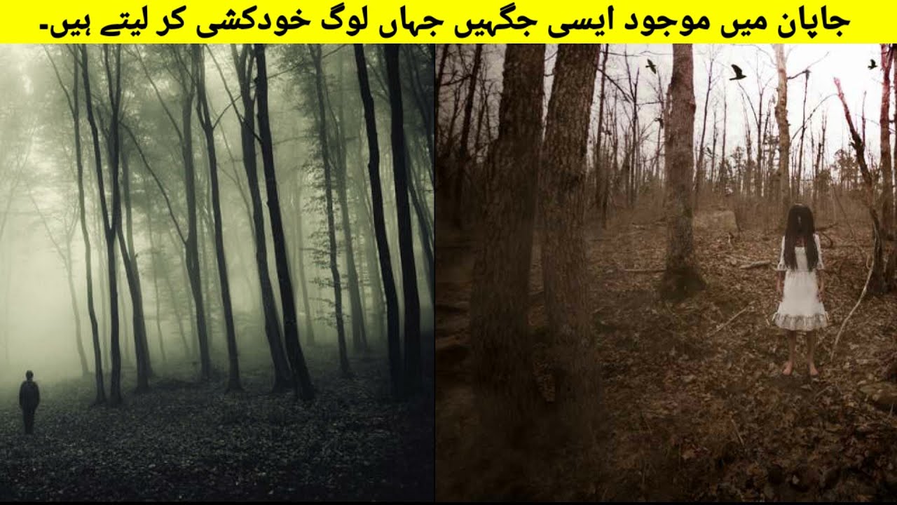 5 Haunted places in Japan you must not visit 