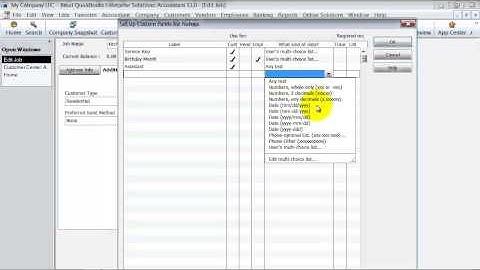 QuickBooks Training - Custom Field Overview