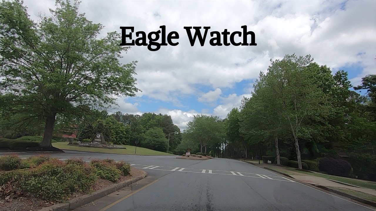 Eagle Watch Woodstock, YouTube