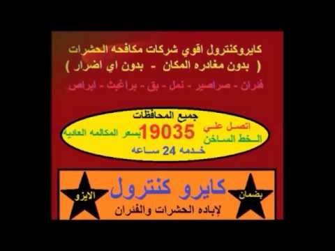 ابادة النمل الفرعوني