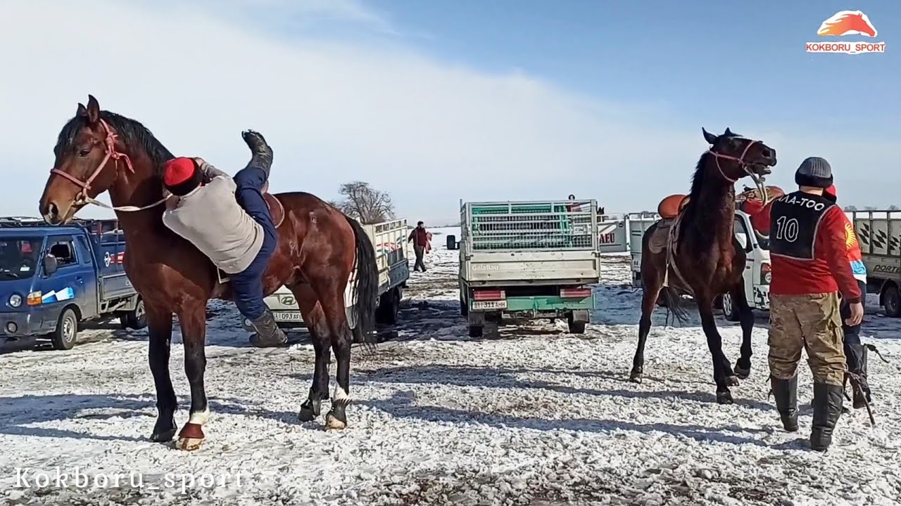 Ноокат Улак/ Бишкек шаары/ Мраморный айылы ( оюн алдында таанышуу )