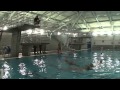 Marine Corps Recruit Swim Qualification - San Diego