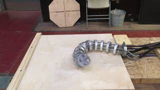 IMG 6856