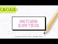 Sketching Slope Fields - Calculus Guided Notes Lesson