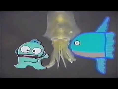 マンボウdeマンボ