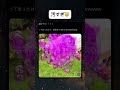 これは冷める笑 #shorts #面白い #シャボン玉 #綺麗 #すごい
