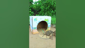Creative DIY Trap Technique - quick bird trap #shorts
