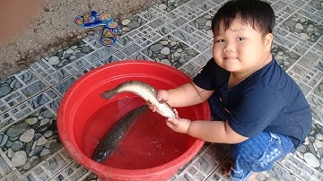 Đồ Chơi Trẻ Em Bé Pin Chạy Ô Tô Điện Đi Chợ❤ PinPin TV ❤ Baby Toys Car go to Market