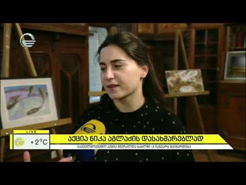 აქცია ნიკა აგლაძის დასახმარებლად