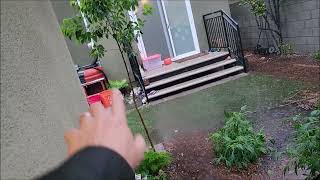 THC Herbangardener - How to Grow Marijuana Outdoors - Why It's Good To Have Extra Indoor Grow Space