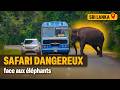 Ces touristes découvrent le quotidien perturbé des éléphants et de ces habitants