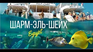 Шарм-эш-Шейх .Sharm El Sheikh  подводный мир