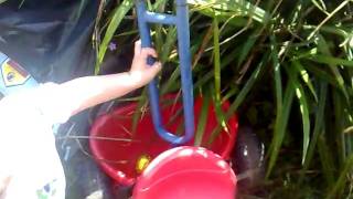 Alex Easter Egg Hunt