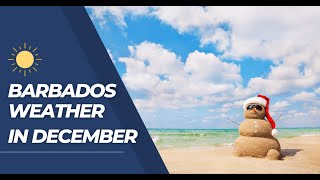 Barbados Weather In December - YouTube