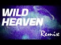 【リミックス】TM Network | Wild Heaven