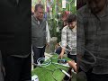 Live highlight