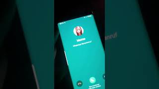 Momo Nummer Ist Zurück 2018