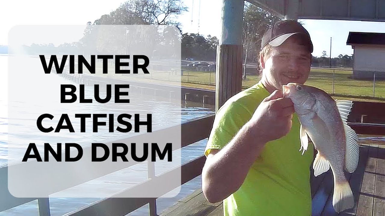 Winter Blue Catfish and Drum at Lake Houston YouTube