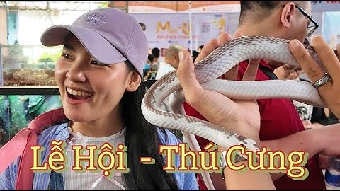 Lễ hội Cá Cảnh - Thú Cưng 2024 tại TP.HCM