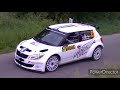 Best of SKODA Rally Cars (S2000/R5/WRC)