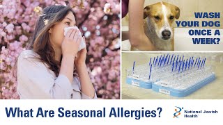 How to Stay Ahead of Seasonal Allergies Wealth