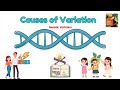 5.2 Cause of variation : Gene /Role of Genes in Human Variation / Science / My Science Diaries📖 ✍️