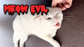 Evil Drop Meow - Music from "Soft Paws, Sweet Dreams" screenshot 5