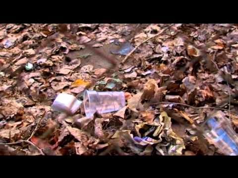 საკონტროლო შესყიდვა TV3- ზე 28.10.2014