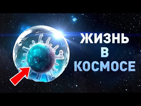 YouTube видео