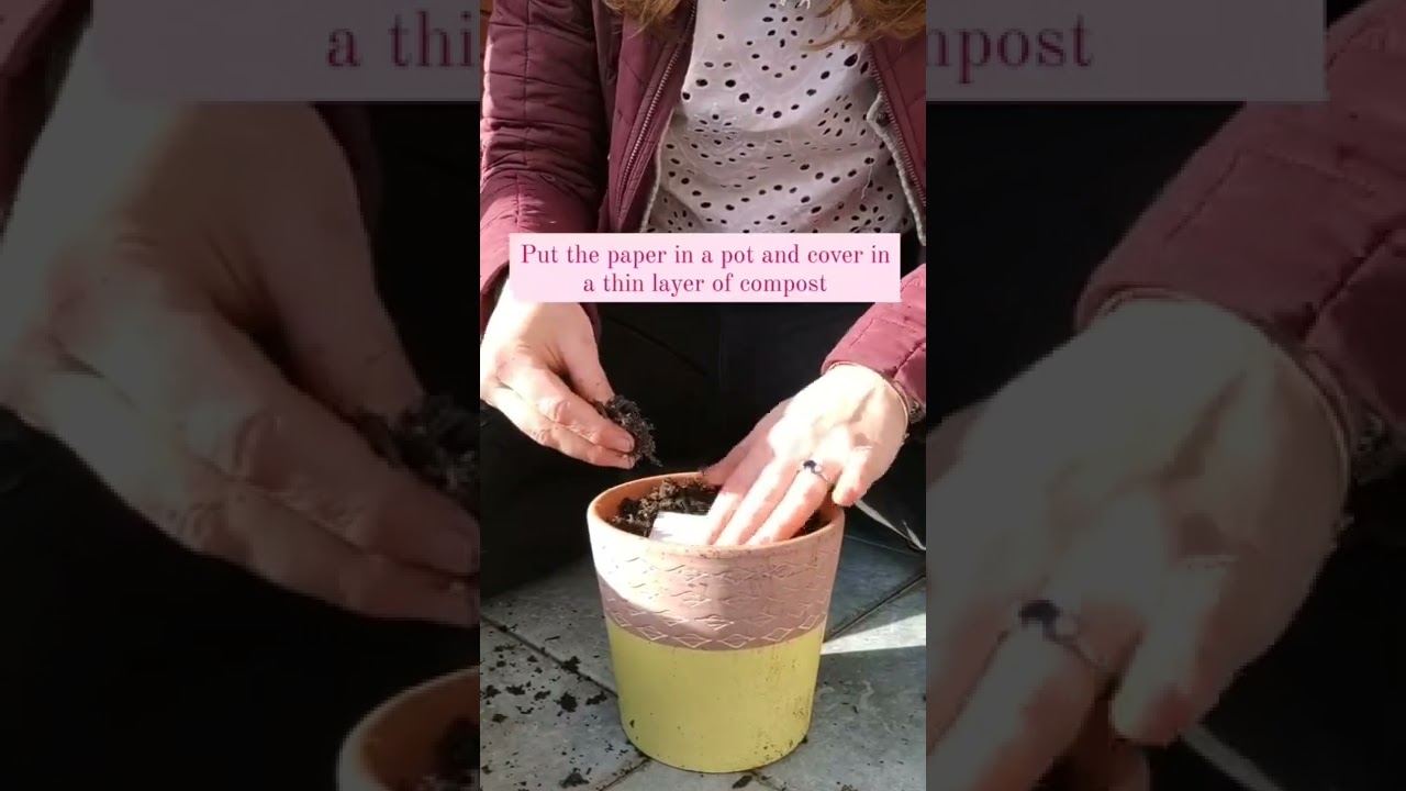 Plant wildflower seed paper with me 🌸 