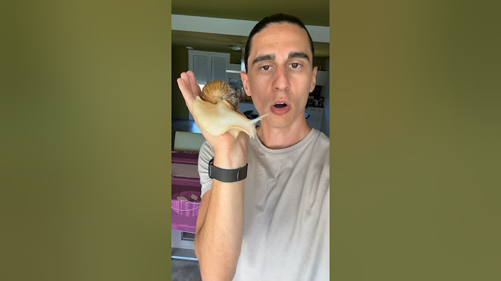 J’AMÈNE MON ESCARGOT GÉANT EN VACANCES 😱