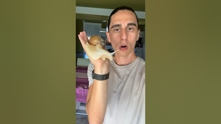 J’AMÈNE MON ESCARGOT GÉANT EN VACANCES 😱