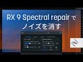 RX 9 Spectral repairでノイズを消す