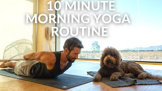 10 Minute Energizing Morning Flow Routine | Do This Daily! Stretch & Mobility Yoga for Flexibility