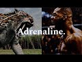 Adrenaline