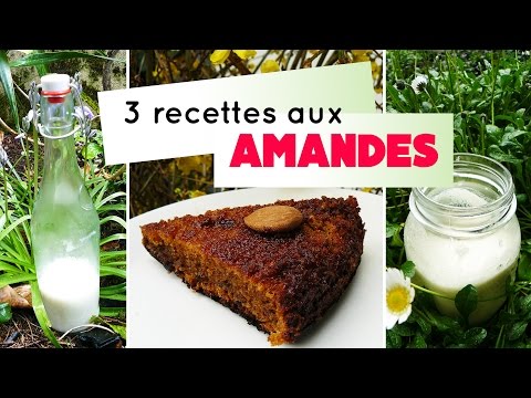 recettes-:-lait-d'amandes,-crème-végétale-et-gâteau-aux-amandes