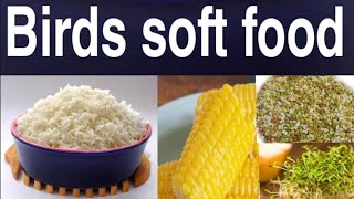 Birds soft food, | Lovebird Breeding season soft food, | Best soft food for birds.