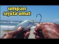 UMPAN MANCING PASIRAN SEJUTA UMAT