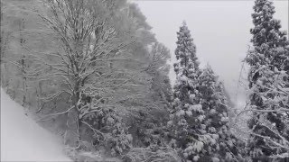 アルツ磐梯2 20160109