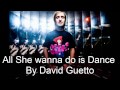 David guetto all she wanna do is dance