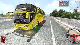 Basuri Kicau Mania x Ropang Bus Pecel Balap Bumblebee | Bussid v4.4.1