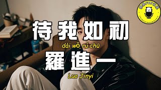 Luo Jinyi - Treat Me As Before【Traditional Chinese Pinyin Dynamic Lyrics】【CC Subtitles】