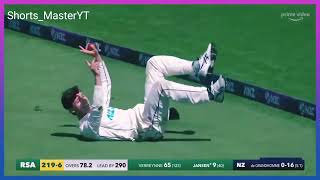 Will Young unbelievable catch