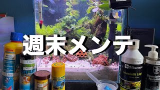 週末メンテナンス：30cmキューブ水槽の水換え＆水草ケア