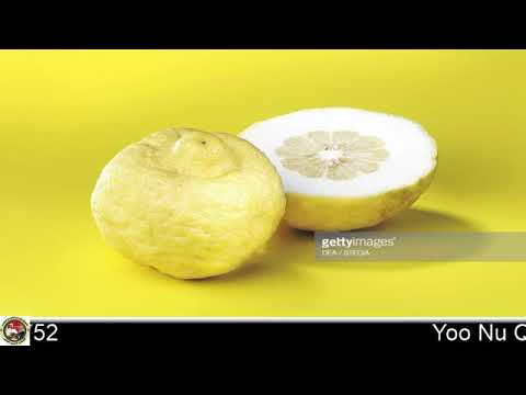 Barnoota Fayyaa Kutaa 36ffaa 