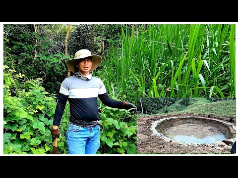 NAAYOS NA ANG FISHPOND+NAGPAKASTA NA SI CARA(BAO) BUHAY PROBINSYA