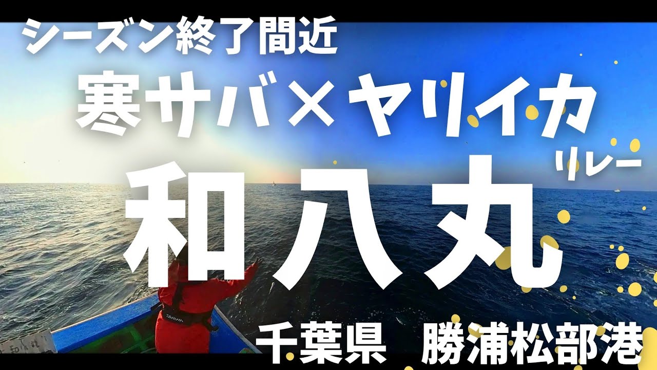 【寒サバ×ヤリイカ リレー　和八丸】　千葉県　勝浦松部港　2025/03月上旬